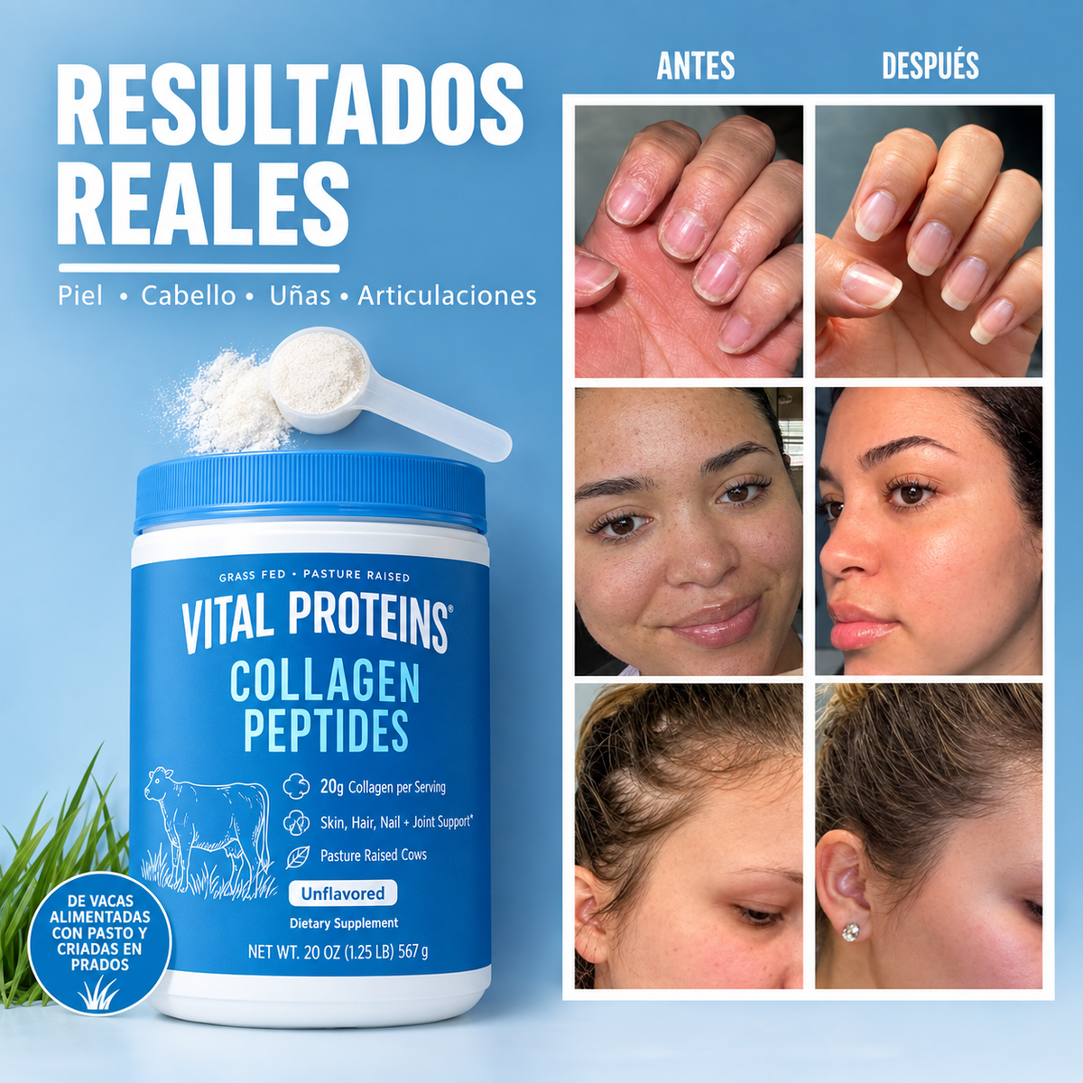 Vital Proteins: Péptidos de colágeno en polvo